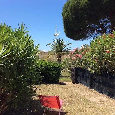 شقة Le Serpent De *