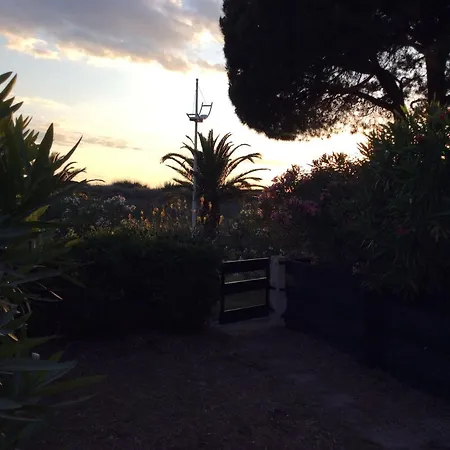 Le Serpent De شقة *