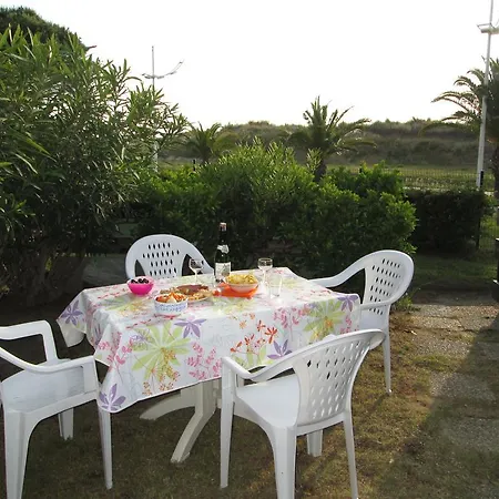 Le Serpent De Le Grau-du-Roi