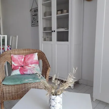 Le Serpent De Le Grau-du-Roi